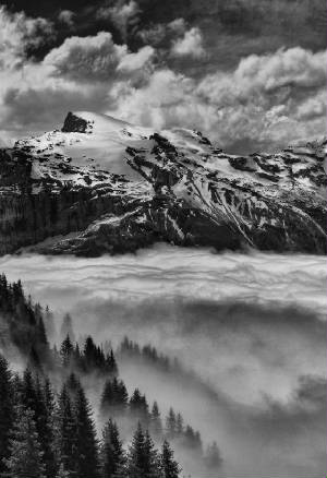 ValleyFog.jpg