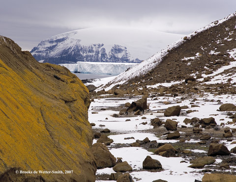 4953rockandicewcopyright.jpg